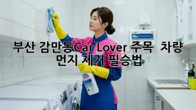부산 감만동Car Lover 주목! ✨ 차량 먼지 제거 필승법